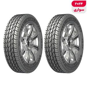 لاستیک خودرو رادیال بارز مدل P648 Premium Drive با کاربری سواری و سایز رینگ 15 اینچ، فاق 65 درصد پهنا و پهنای 185 میلی‌متر، شاخص تحمل وزن 88 و شاخص سرعت H (حداکثر سرعت 210 کیلومتر بر ساعت)، ساخت ایران، دارای تایر تیوبلس، 2 حلقه