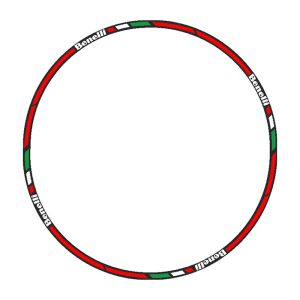 برچسب دور رینگ موتورسیکلت رایسان کد Dm011Br