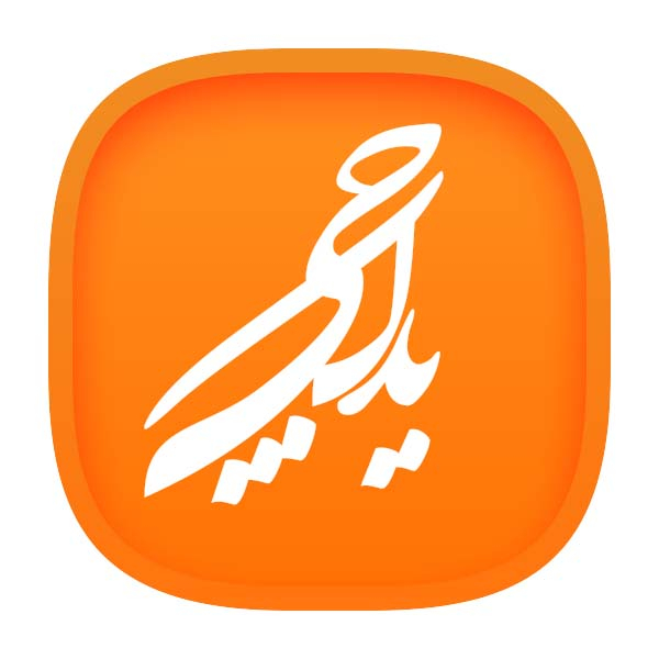 توری اویل پمپ یدک چی کد 80212 مناسب برای پراید